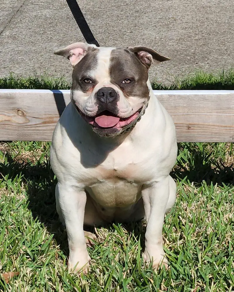 BluelineCertified's PayDay