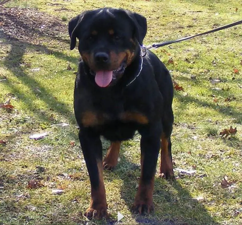 Pandora Von Der Brans Haus