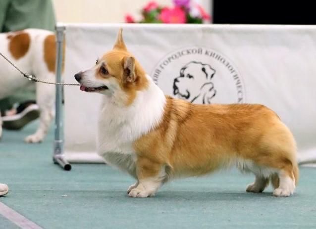 Treasure Dream Bahia Blanca