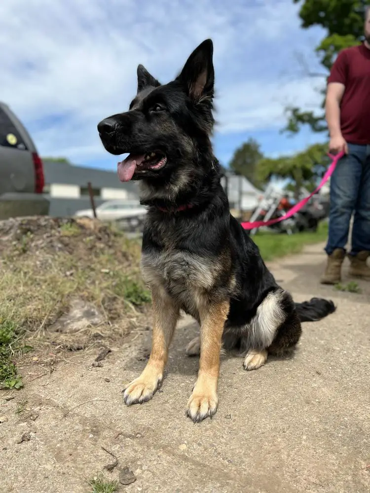 Khole Vom Haus Stuckey