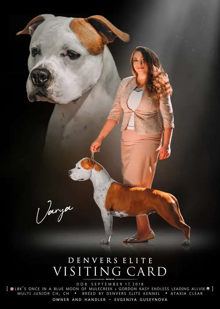 Denvers Elite Visiting Card