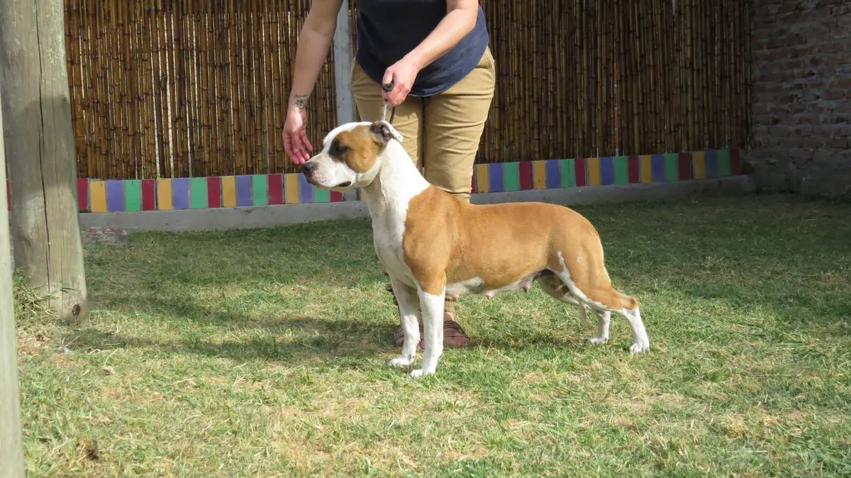 Kimberly Nachsay   "Sol"