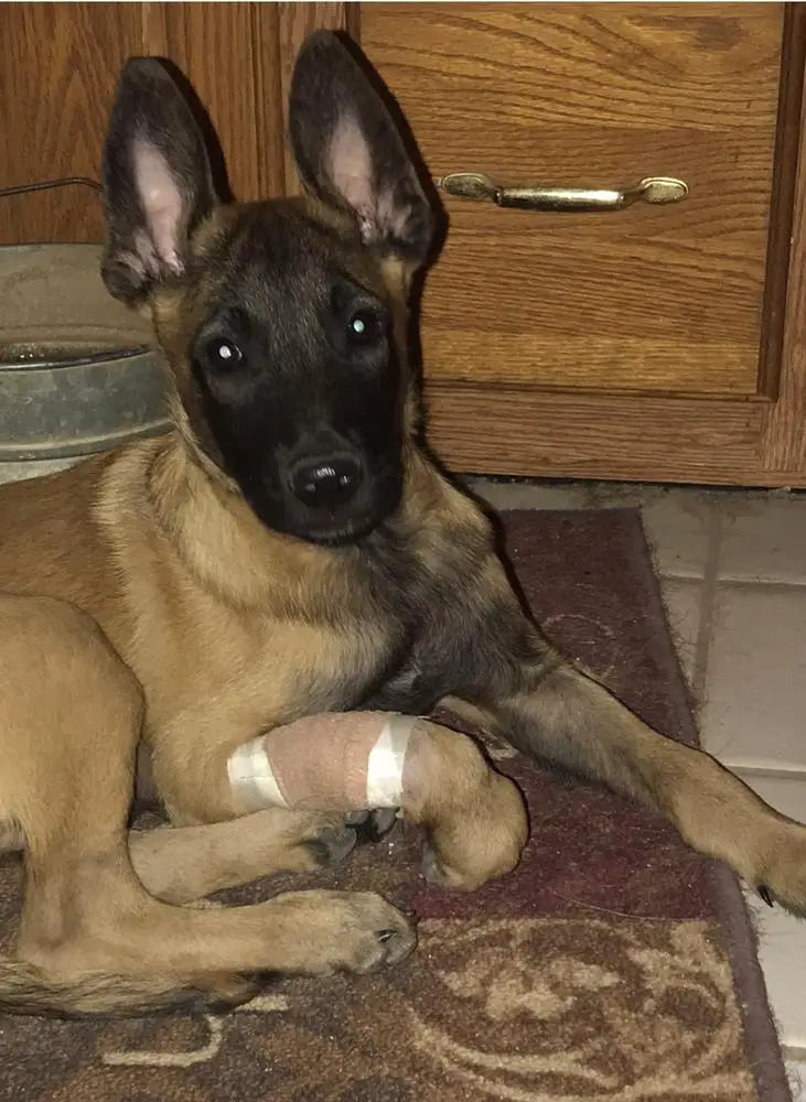 Legend's Of Valhalla