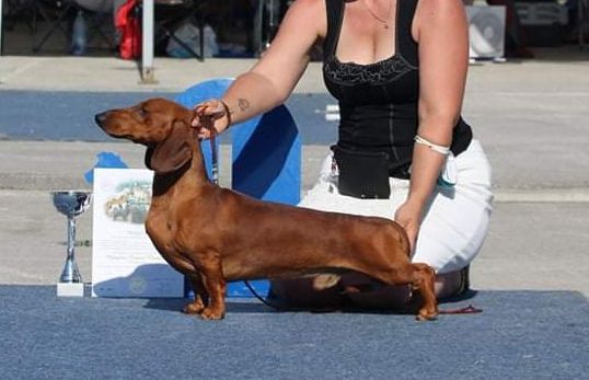 ITJCh, ITJCh ABC, HJCh Proud Hunter Horus