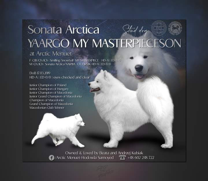 Sonata Arctica YAARGO MY MASTERPIECESON