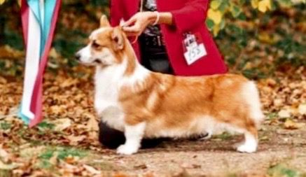 ART RAEN'S ELIZAVETA