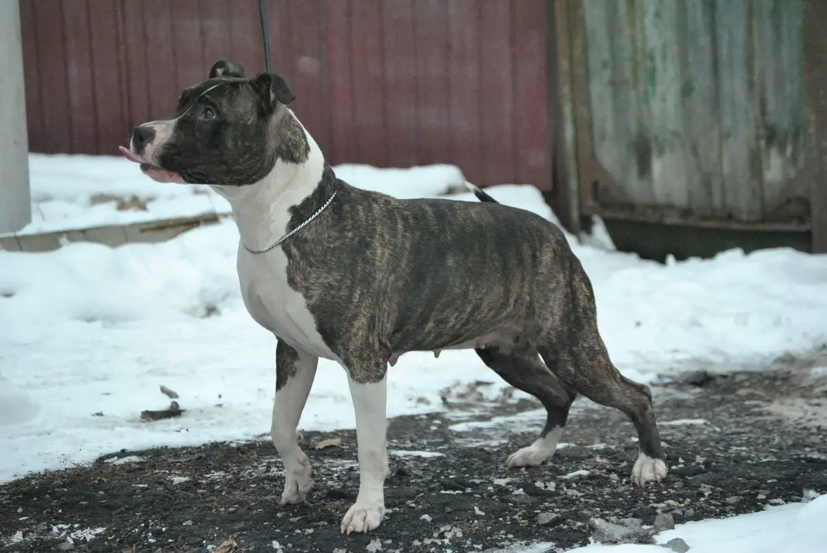 BAKARORO END ITUBORI LOTTA