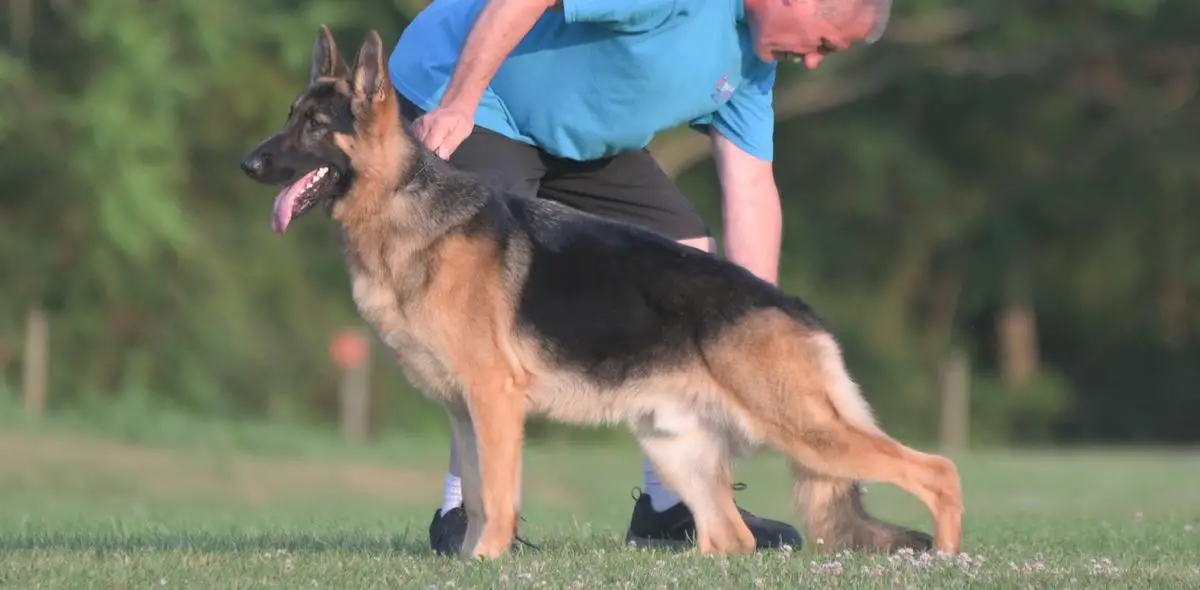 Gch Mickena's Dance Like Nobody's Watching