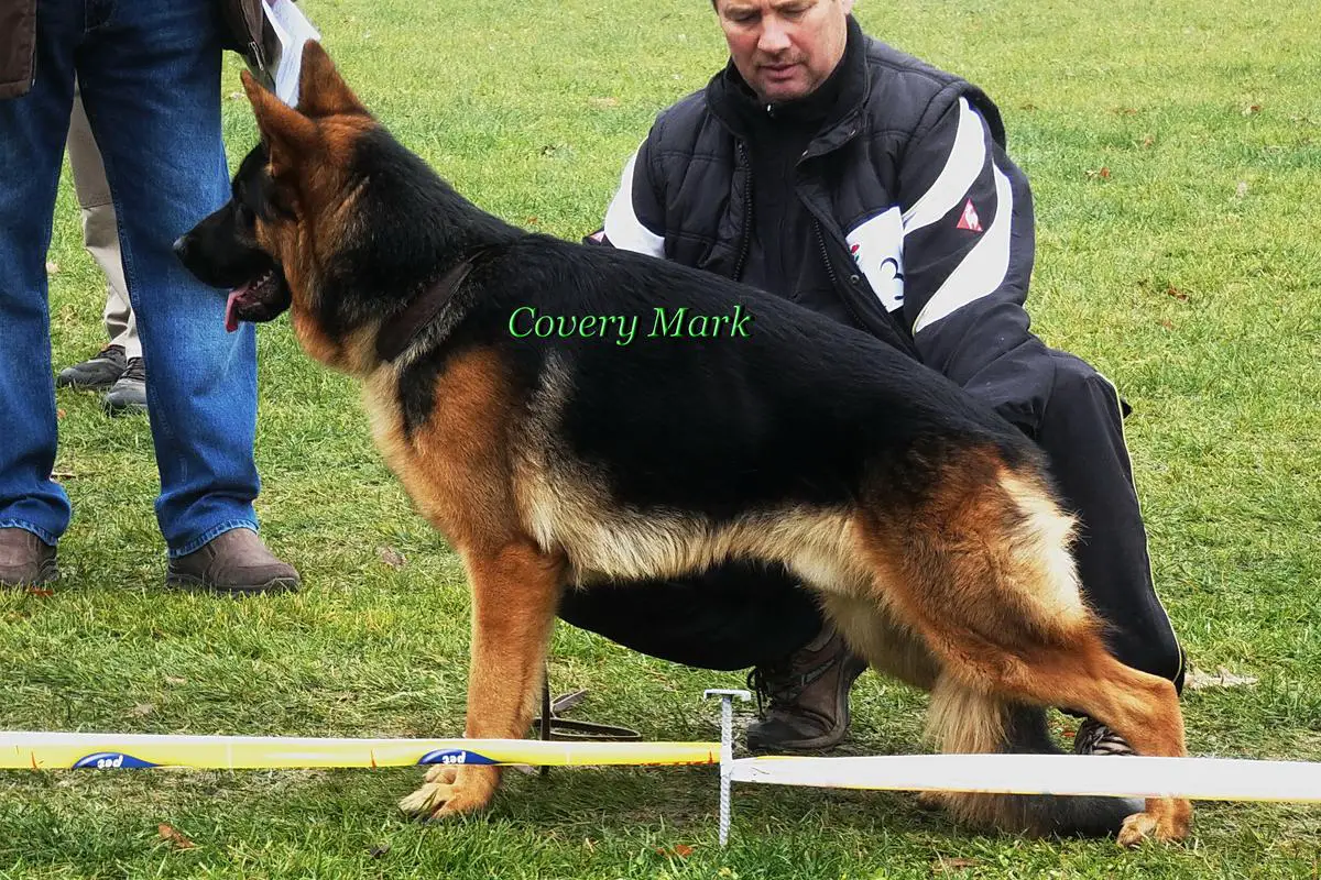Covery Mark