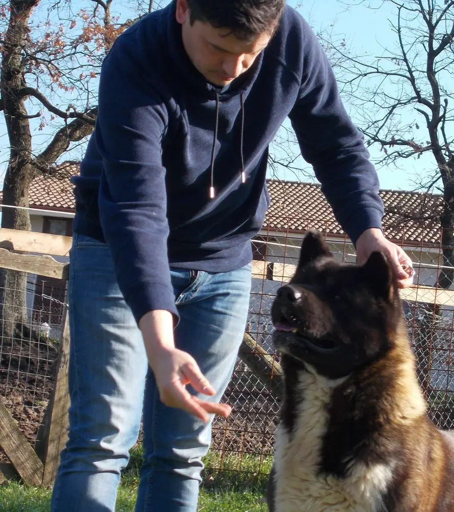 Fatti Sotto Della Scuderia De Angelis