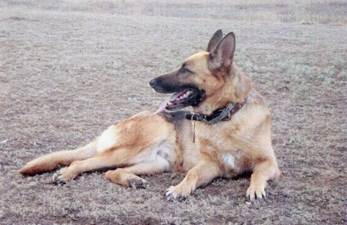 CH KAZ, KCHK Rahimzhan Heppi