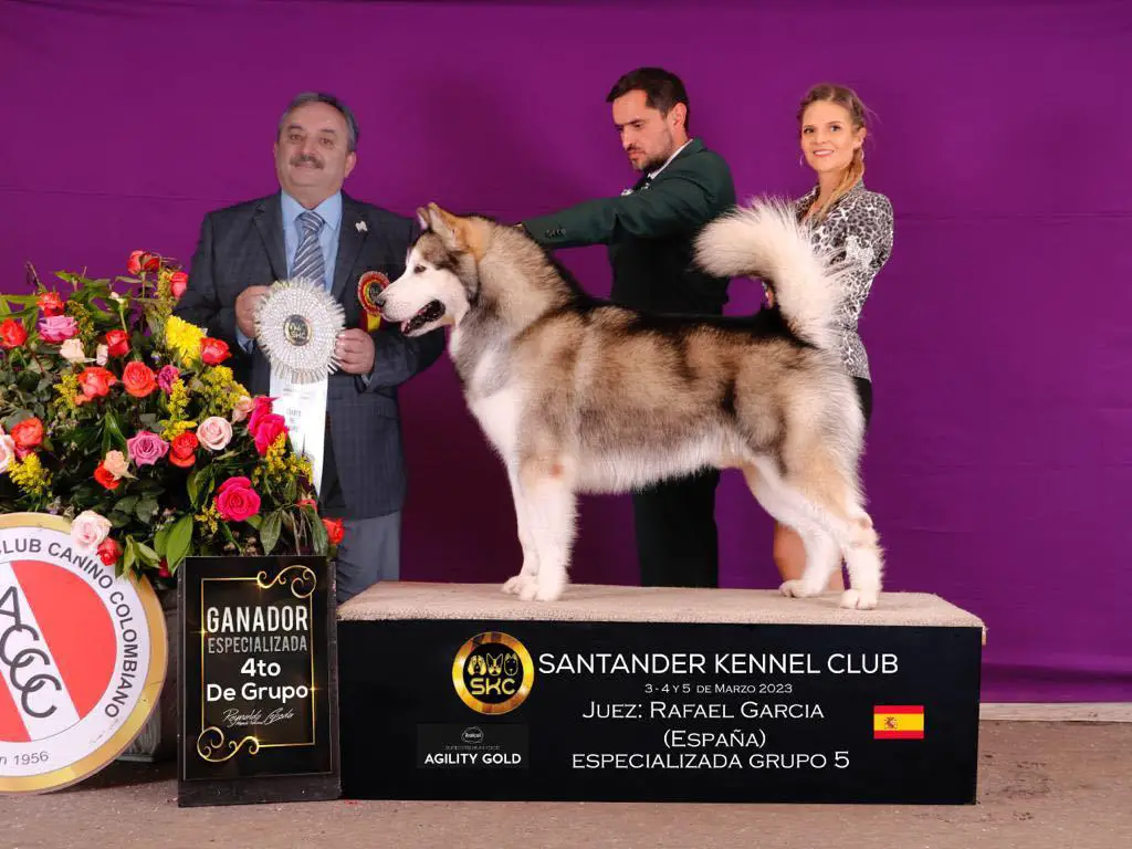 VAyC22VUncacen22GrCh.Sal.ChSal.GrChCuz.GrChPana.ChPana.Ch.Co Falkor Poleka Kasue