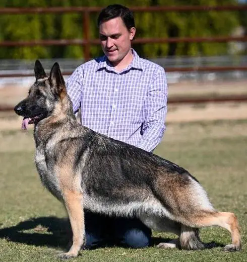 GCH Silhouette's Run For The Roses