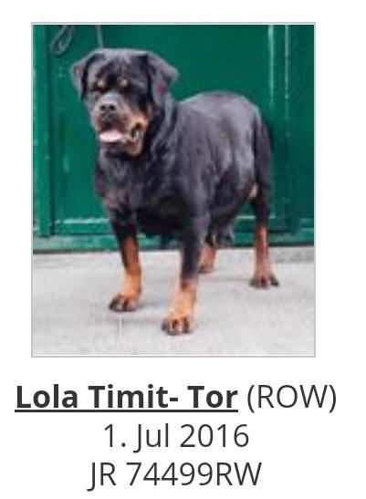 Lola TIMIT-TOR Serbia