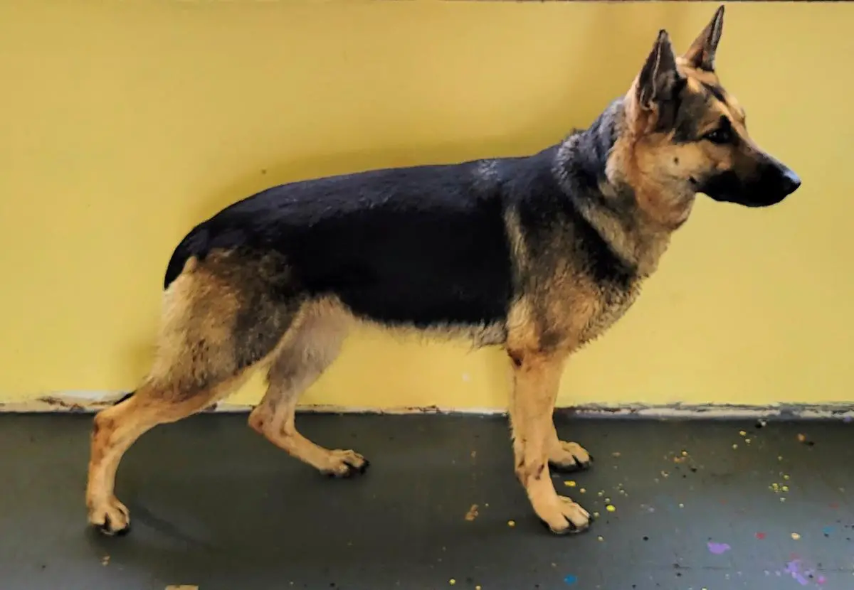 Be Nicey and Spicy vom Littlewood