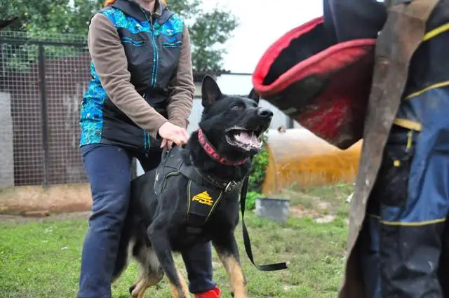 Love&Spirit Donbass