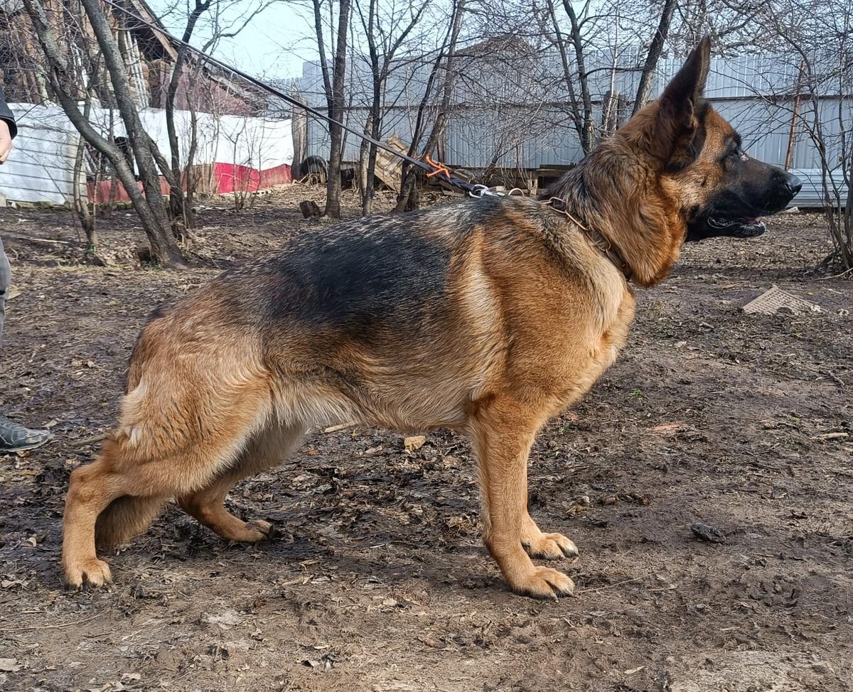 CAC Armata s Djatlovyh Gor