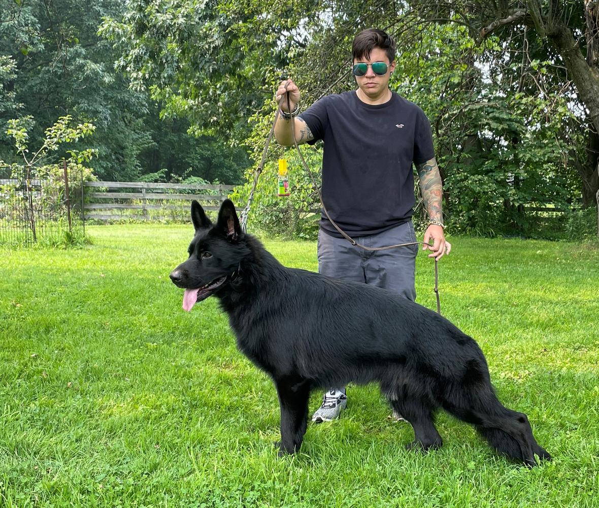 Valko vom hohlen Huegel