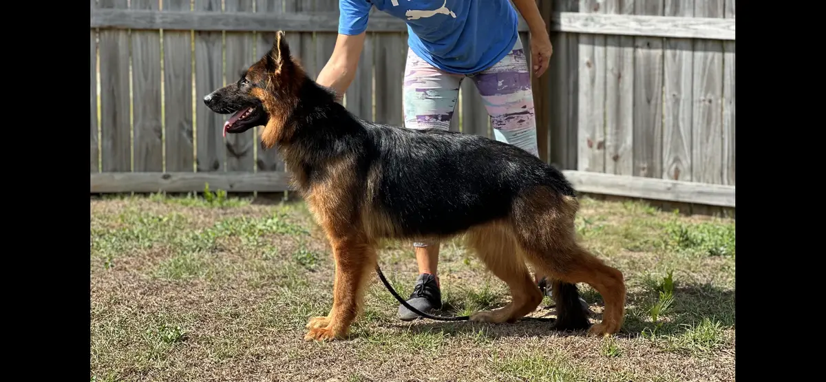 Xena Von Freimeier