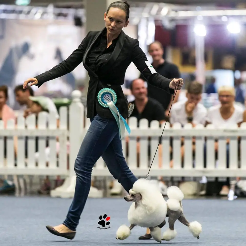 Davincis Gv Notorious