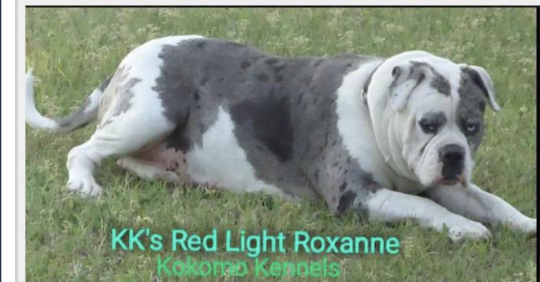 KK’s Redlight Roxanne