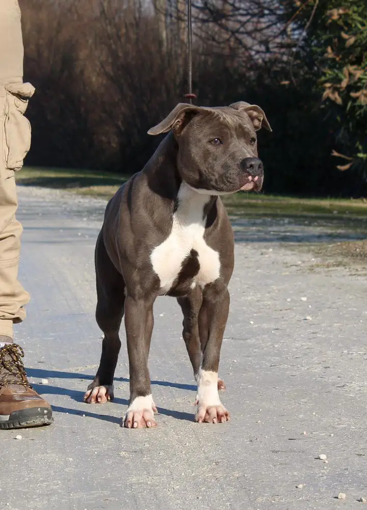 Astrid Sky Queen for Contra Legem