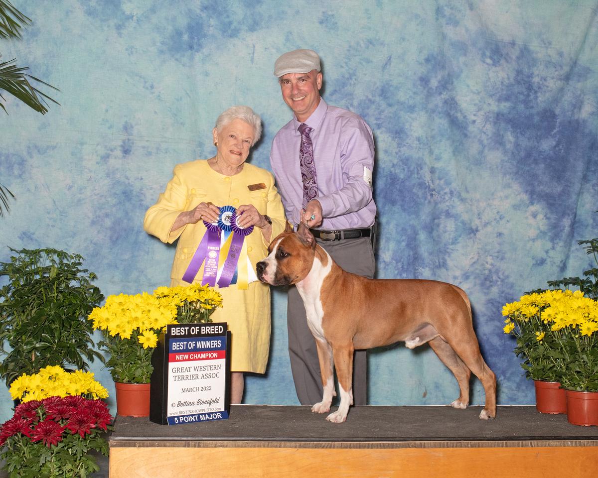 Grand Champion Bear Mountain Orion’s Driftwood