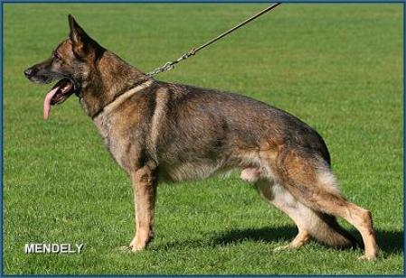 SG Ero von Armannsberg