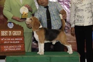 CH X'Plorer's Good Long Knight's Dream