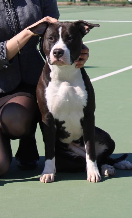 Vasianum Hard to Handle