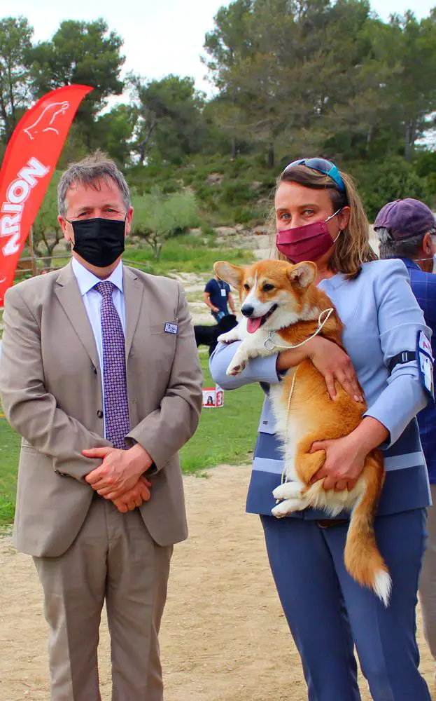 BOB puppy , CACIB Odena , Spain 2021 ALGICOR WHATEVER LOLA WANTS