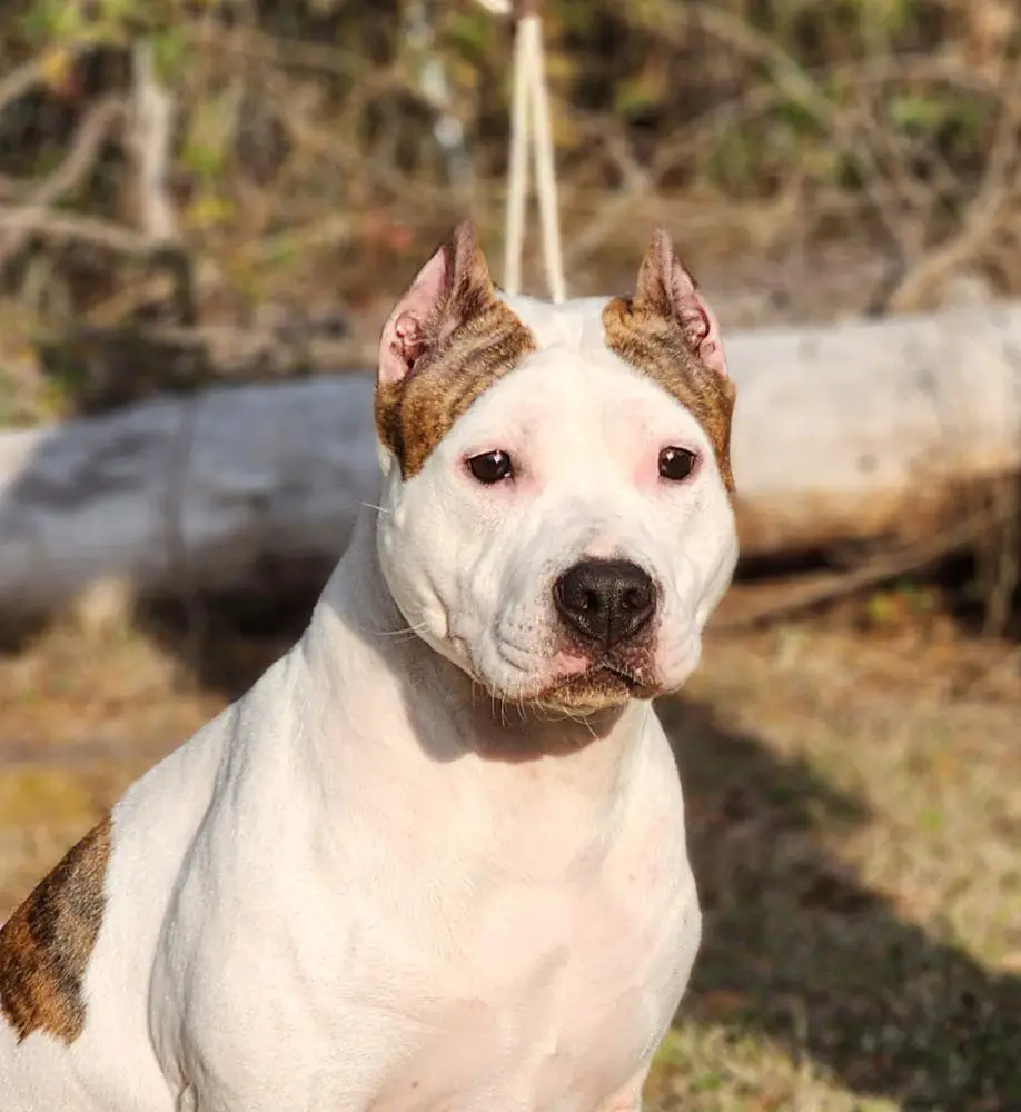 Kayos Karma Somthn 2 Talk About