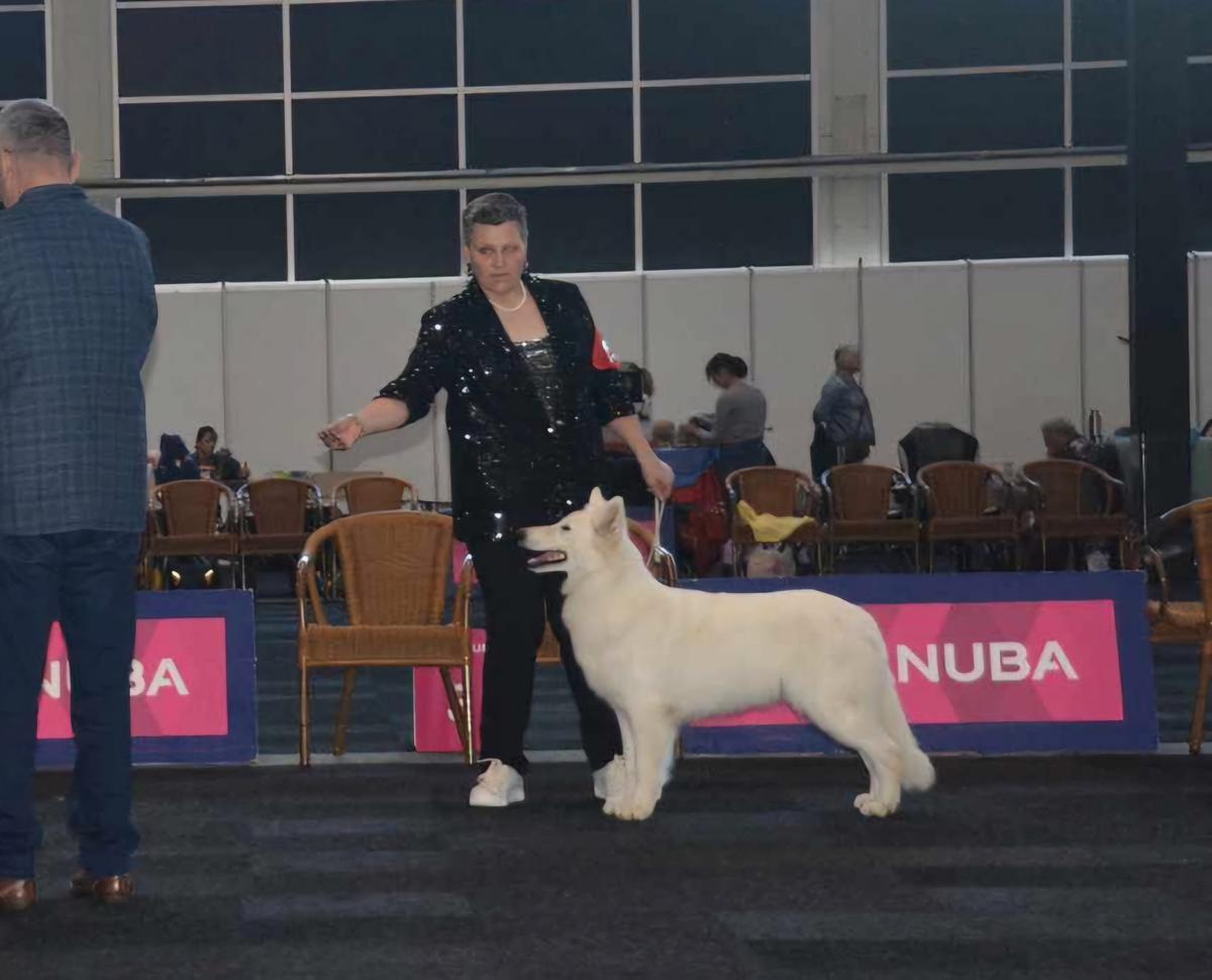 BJCH, BYW19,Hopqueen'19,Hopemperess'19,BCH Raspberry Icecream of the Dutch Highlands