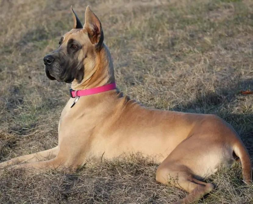 Lady Melania's Southern Grace Comes To Shady Grove