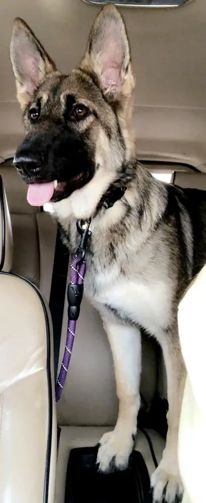 Anabelle Vom Kieffer