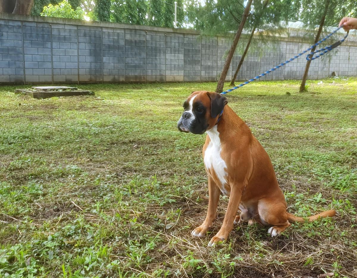 Ettienne Navare con Lomicaro