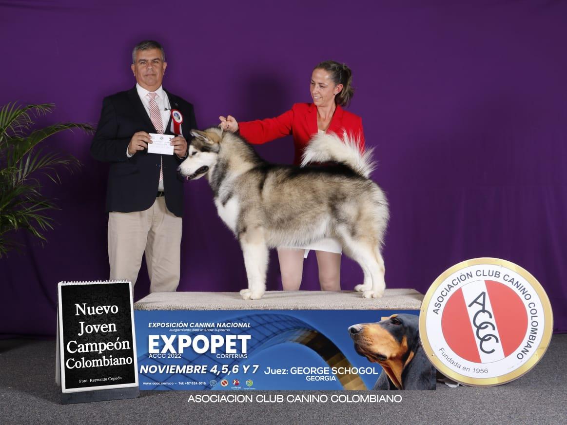 JCo. Berlin Kona Piren