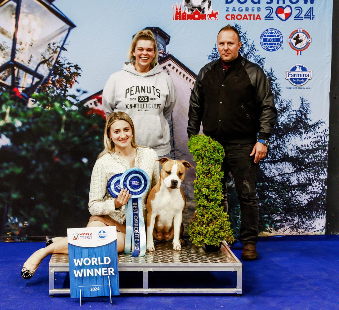 WORLD WINNER 2024 Jadore King Of Montenegro