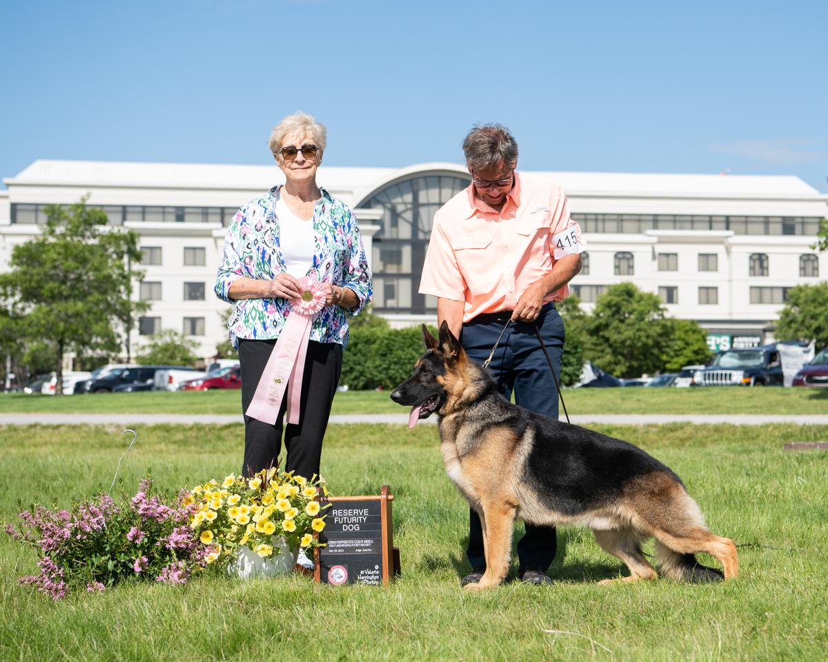 Ch. Wilron's Winsome's Kobee Bearyant