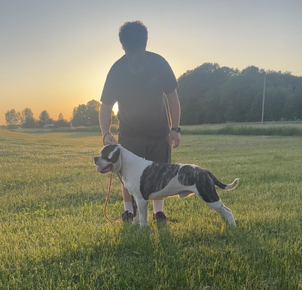 JABR CHAMPION J&A’s Mean Machine “PAC-MAN”