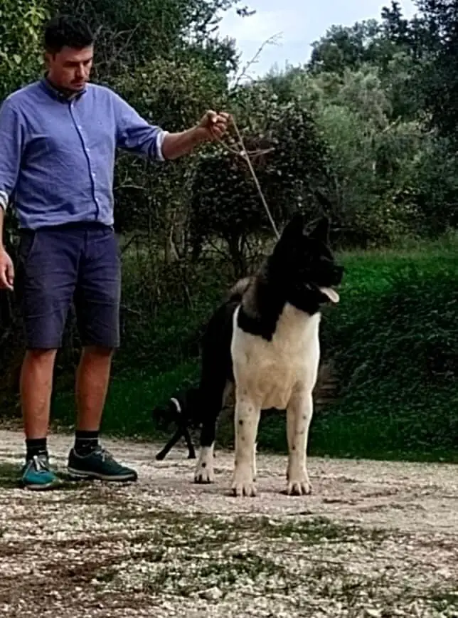 Classico Italiano Della Scuderia De Angelis