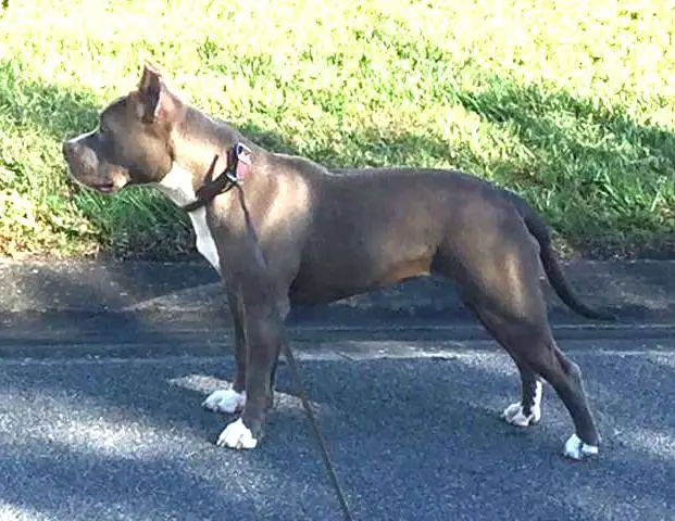 Buenos Aires PRDGY Spring Fashion