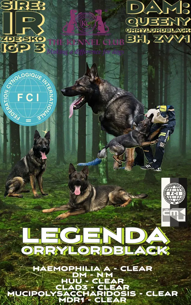 Legenda Orrylordblack