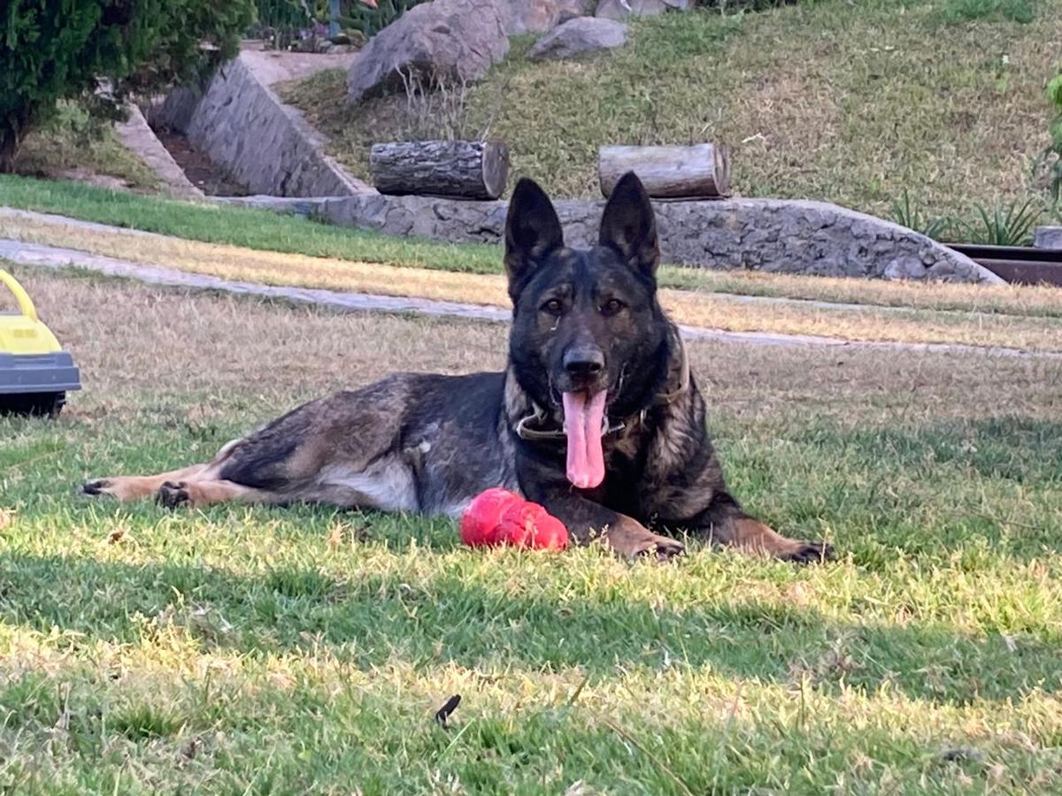 Tesla (Alvarez) MEX. FCI.