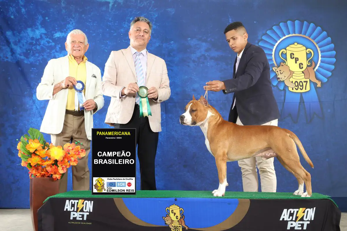 Ch.Inicial Ch.Filhote Ch.Jovem - ChBR ChPAN GdChBR Redboy Hube Fortvenom