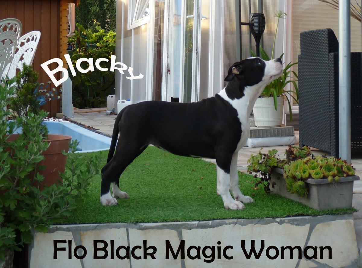 BodyBull Helikon Flo Black Magic Woman "Blacky"