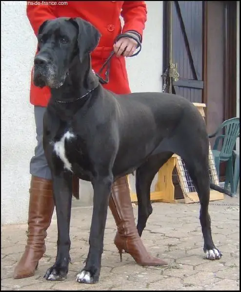 TOUNDRA DES HABITS ROUGES