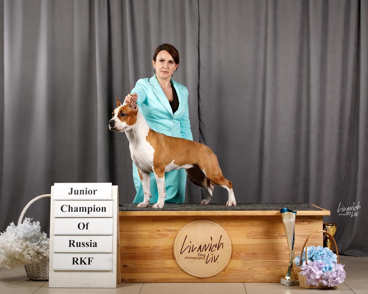 O'Luna Moonflower Rose Gloss