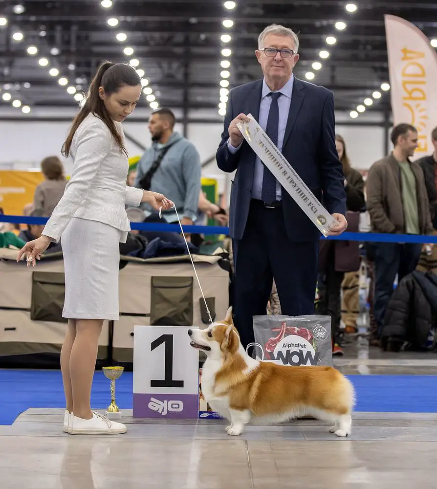 MISTYCOR FORTUNATE SON ODDIE