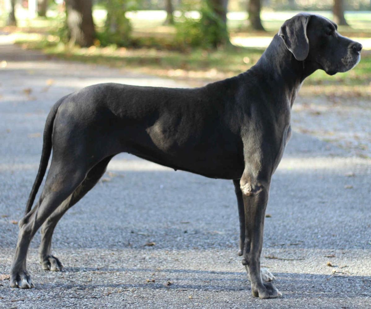 DDR's The Last Puzzle Piece From Big Birch